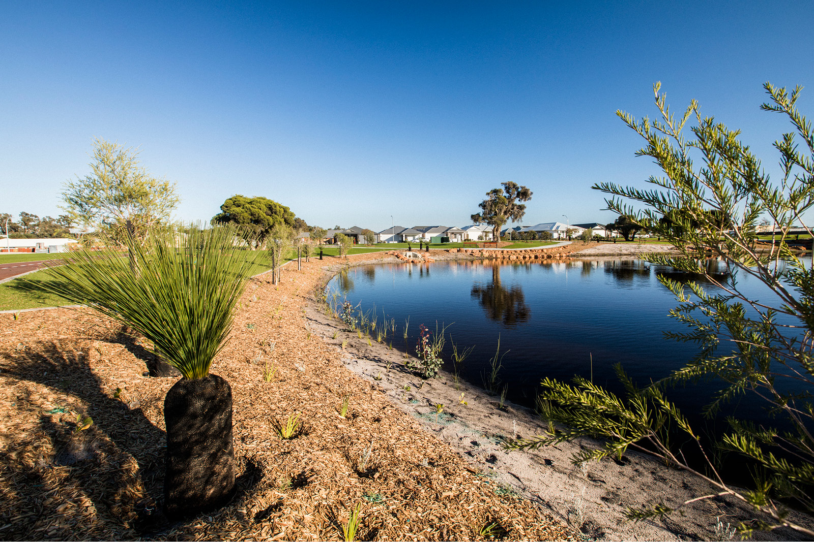 Lot Ellenbrook Real Estate Property for Sale in Ellenbrook